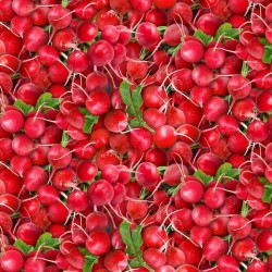 Radishes - RED