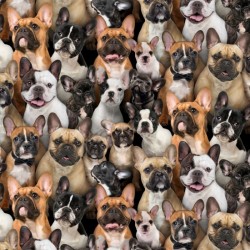 Dogs - French Bulldogs - MULTI