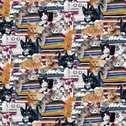 Packed Kitties - MULTi