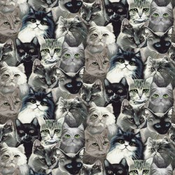 Cats Faces - BLACK/GRAY