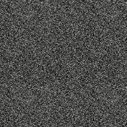 Printed Glitter - BLACK