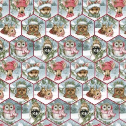 Honeycomb - MULTI