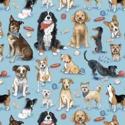 Dogs, Treats, Toys - BLUE-MULTI