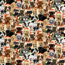 Stack of Puppies - CREAM