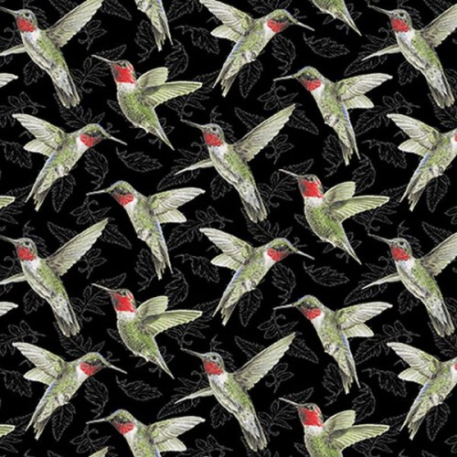 Hummingbirds - BLACK