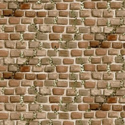 Bricks Allover - BRICK RED