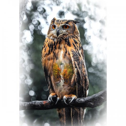 Panel - Owl 76cm - AUTUMN