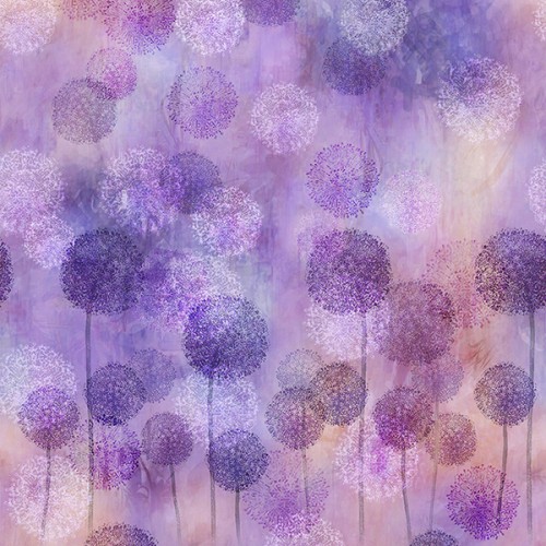 Dandelions - LILLY