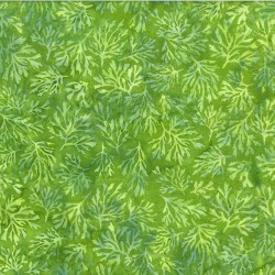 Small Seaweed - LEAF