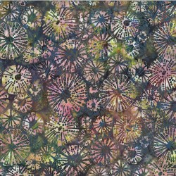 Sea Urchins-MULTI