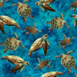 Turtles - BLUE (Digital)