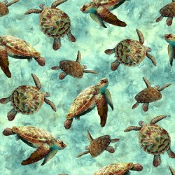 Turtles - AQUA (Digital)