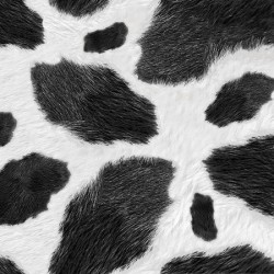 Cow Hide - BLACK (Digital)