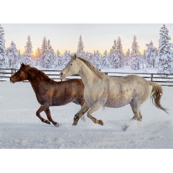 Horse Panel (80cm)-SUNSET