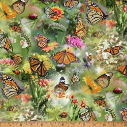 Caterpillars, Butterflies And Ladybirds - MEADOW