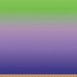 Ombre - Whimsical Flower BLUE - LIME