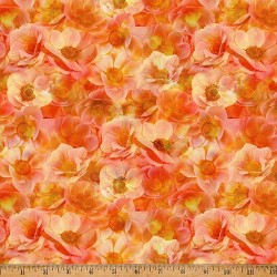 Flowers - POPPY