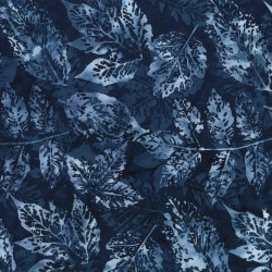 Big Leaves - LIQUORICE