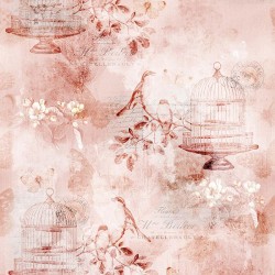 Faded Nature and Script - CORAL