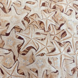 STARFISH - GOLD OCHRE/SILVER