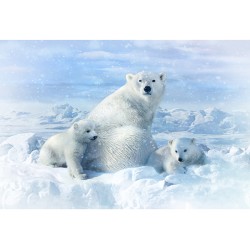 POLAR BEARS DIGITAL PANEL (73CM)