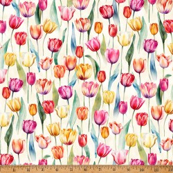 Tulips - TULIP