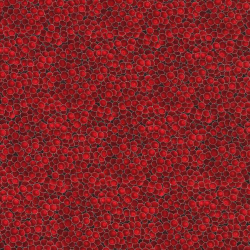 HOLLY BERRIES - RED/SILVER