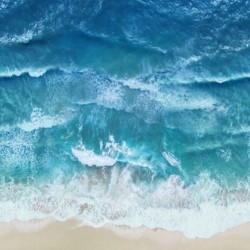 Ocean Beach Digital