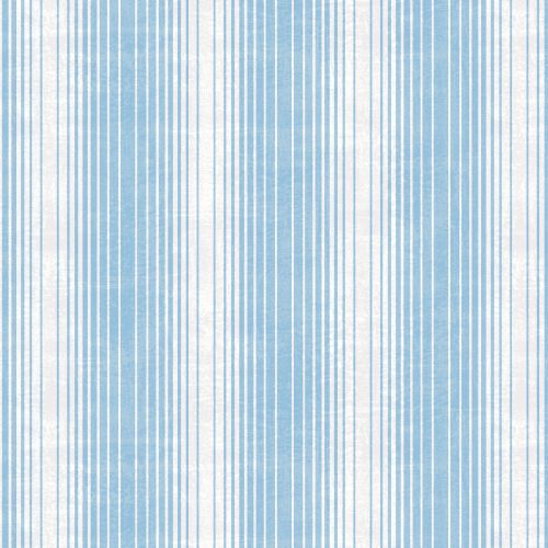 Fan Stripe - BLUE