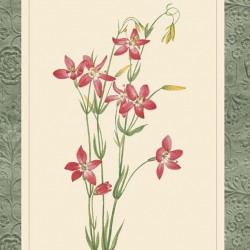 Botanical Panel - 60cm