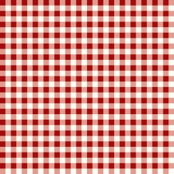 GINGHAM CHECK - RED
