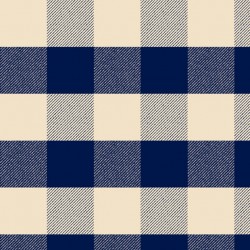 Buffalo Plaid Yarn Dyed Flannel - CREAM/NAVY