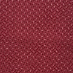 Reproduction - PINK