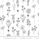 Floral Doodle - PAPER