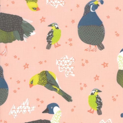 State Birds - CORAL