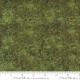 Groundcover - FOREST MOSS