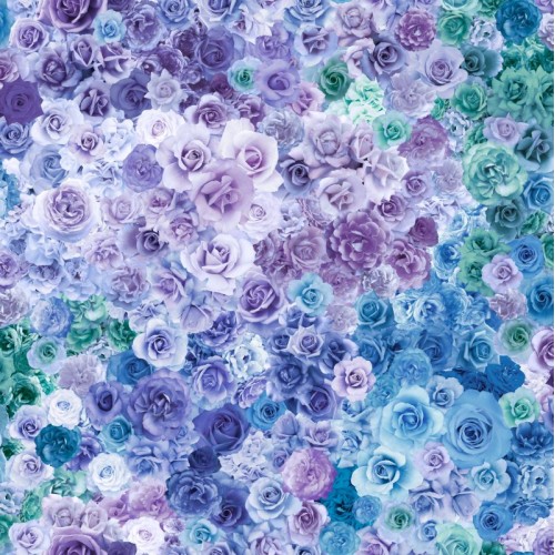 Rainbow Roses - BLUE RASPBERRY