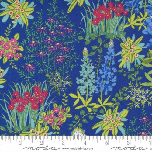 Field of Flowers - BLUEBONNET