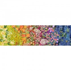 Wildflowers Ombre - RAINBOW