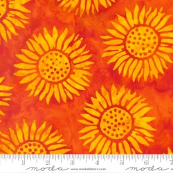 Sunflowers-ORANGE