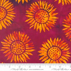 Sunflowers-FUSCHIA