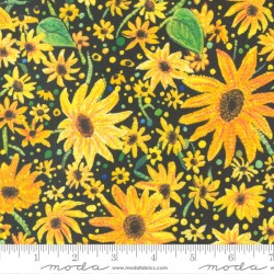 Sunflowers-BLACK
