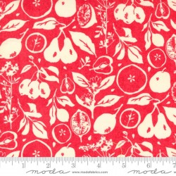 Fruit Slices - RED