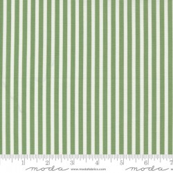 Simple Stripe - GREEN