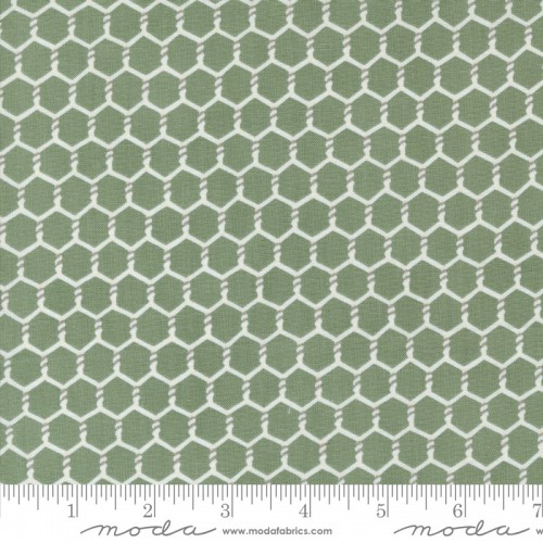 Chickenwire - SAGE Chickenwire - SAGE