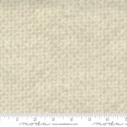 Black Hole - MILKY WAY