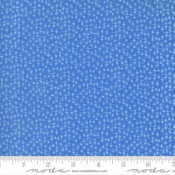 Chicken Scratch - CORNFLOWER