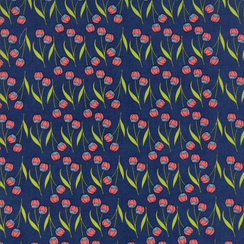 DELLA TULIP - BLACK CURRANT