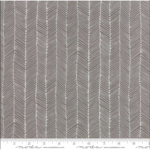 KITTEN LINES - GREY KITTEN LINES - GREY