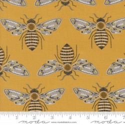 Bumblebee - HONEY
